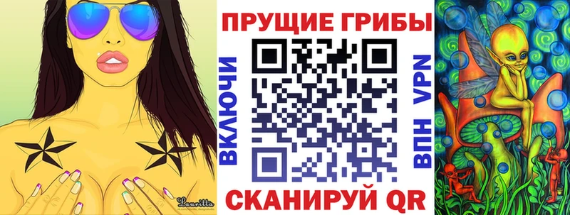 блэк спрут   Железногорск-Илимский  Псилоцибиновые грибы Psilocybine cubensis  сколько стоит 